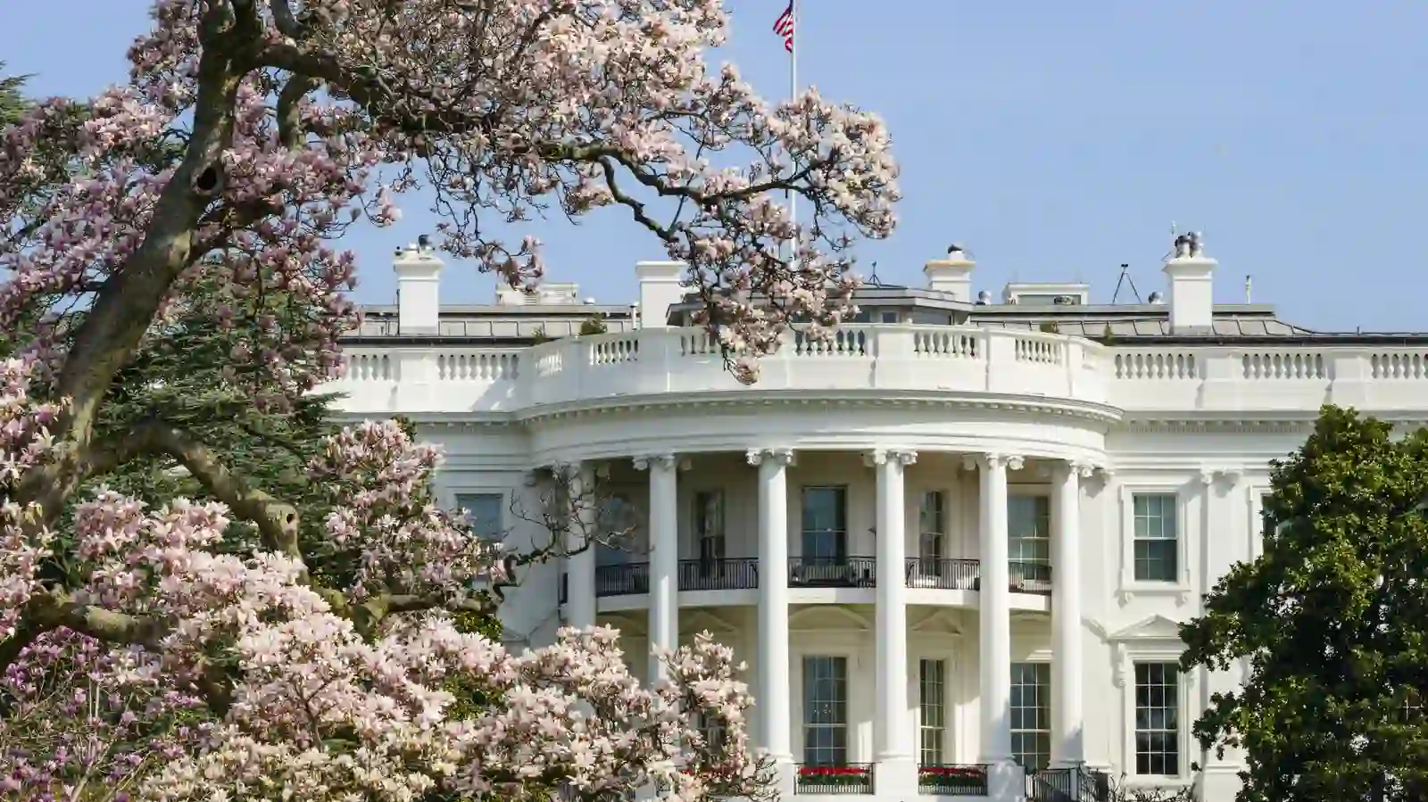 Does the White House use Doric columns? Home Improvement Cast