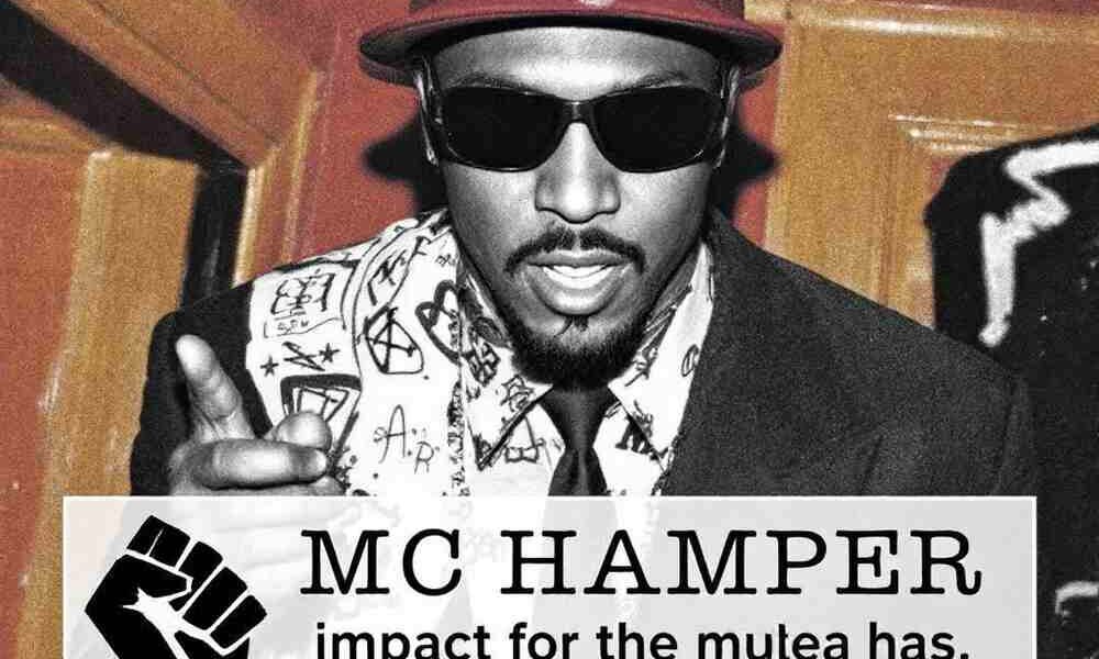 Unveiling MC Hammer's Net Worth in 2024 From 70 Million to 2 Million