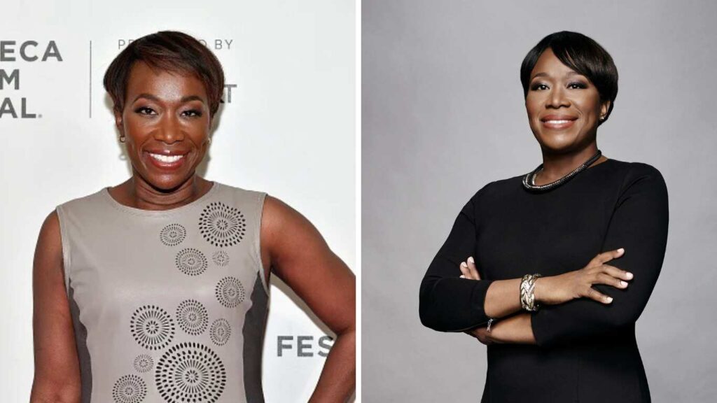 Joy Reid Net Worth