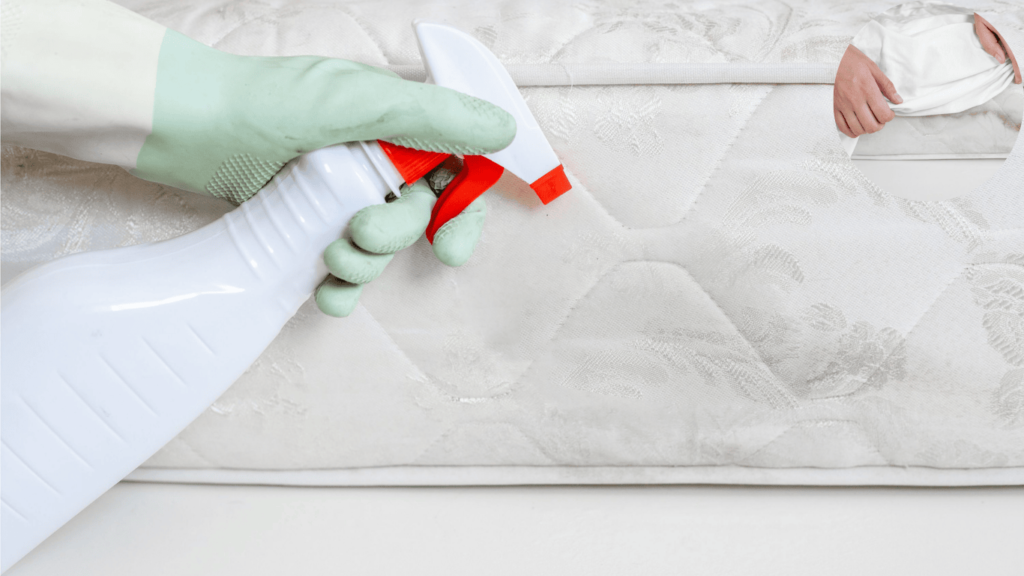 how to get rid of mold on mattress