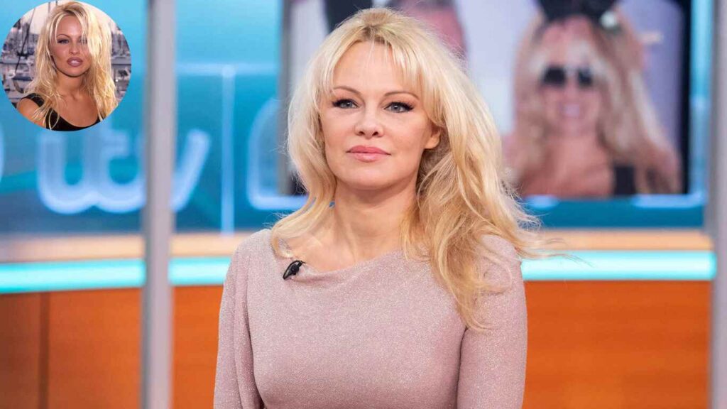 net worth of pamela anderson