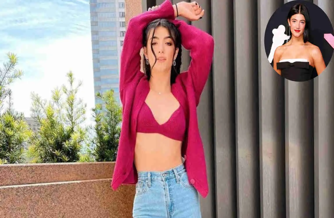 charli d'amelio house