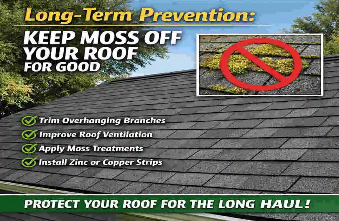 How to Clean Moss Off Your House Roof: 7 Eco-Friendly Steps for a Safe, Lasting Fix